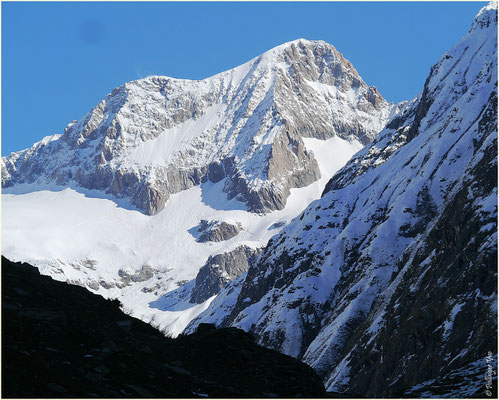 Gredetschtal Nesthorn 3821m. 04.05.2014