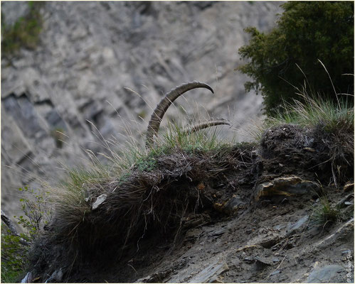 Bietschtal "siehst du mich"10.05.2014