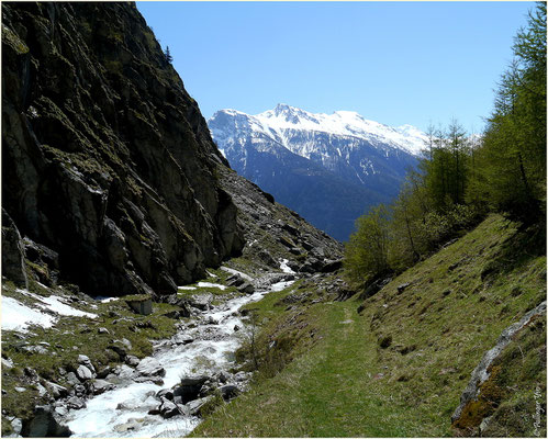 Gredetschtal 04.05.2014