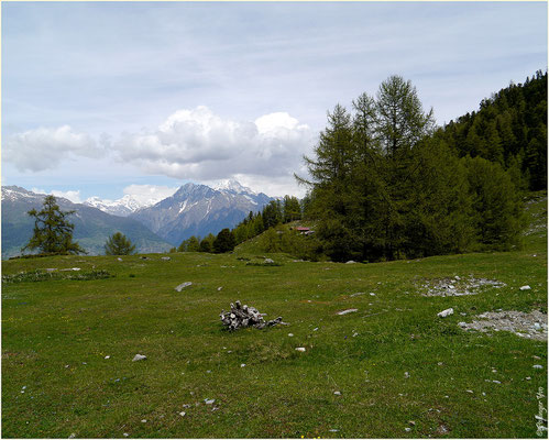 Meretschi 01.06.2014
