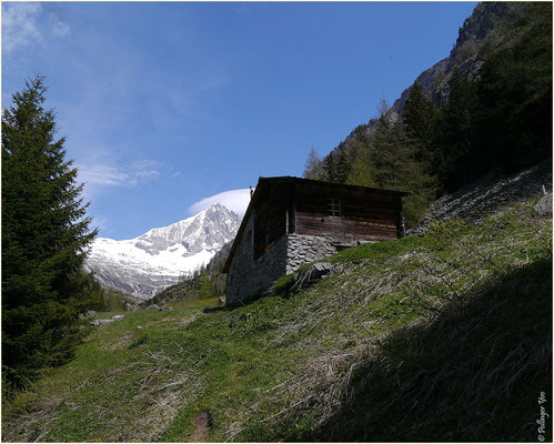 Alpe Bietschi Bietschtal 10.05.2014
