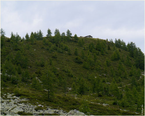 Alphütte Susten-Illhorn 10.08.2014