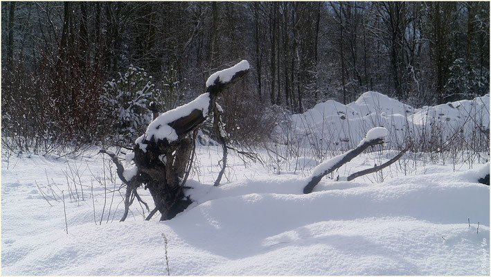 Winterimpressionen 31.01.2015