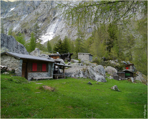 Eiiltini (Inners Senntum), 1476 M.ü.M 18.05.2014