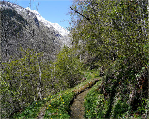 Gredetschtal 04.05.2014