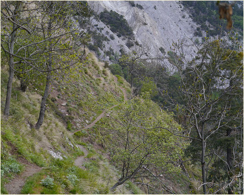 Schmaler steil abfallender Weg Bietschtal 10.05.2014