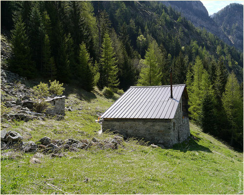 Alpe Bietschi Bietschtal 10.05.2014