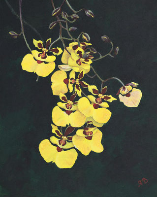 „Tolumnia“ - Acryl auf Leinwand, 30 x 24 cm