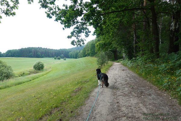 Hier geht es noch gemächlich bergan.