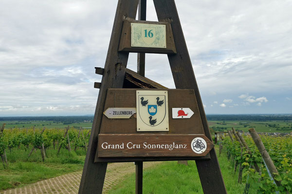Welch schöner Name für einen Rebberg