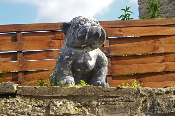 Für einmal ein Hund, der uns nicht verbellt - ganz im Gegensatz zum Hund im Garten