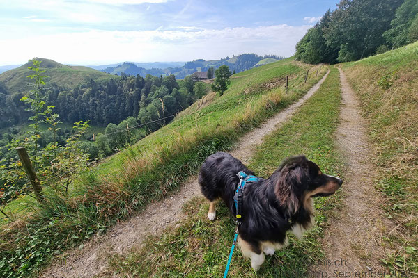 Der Ausblick im Berner Oberland ist einfach immer wieder schön