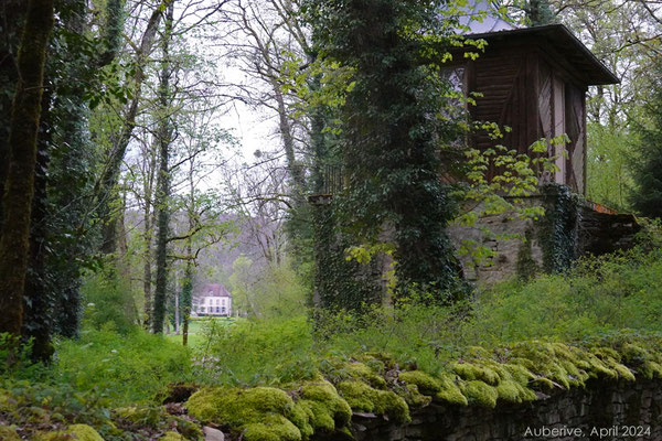 Ein erster Blick auf das Kloster hinter der Mauer