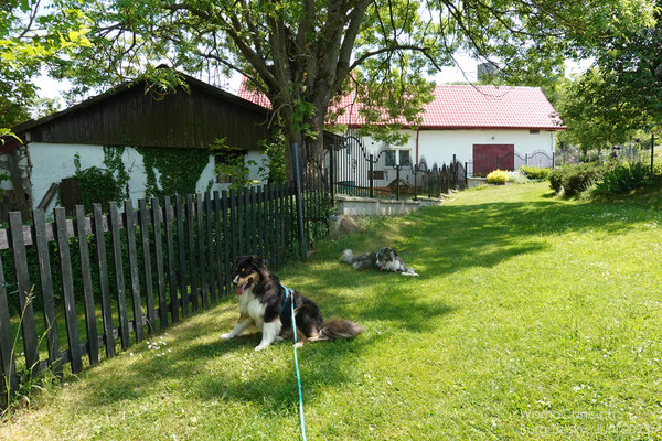 Unterwegs treffen wir aber erst noch auf dieses wunderschöne Anwesen