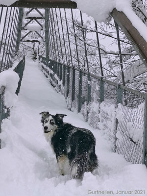 Die Brücke bringt uns auf die andere Seite der Reuss