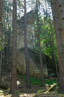 Die Dinosaurier lassen grüssen