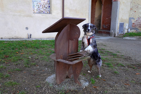 Während Dieter auf Cache-Suche geht, darf Shadow ein wenig posen