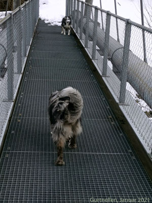 Nach fünf Tagen ist der ganze Schnee auf der Brücke bereits wieder weggeschmolzen und ...