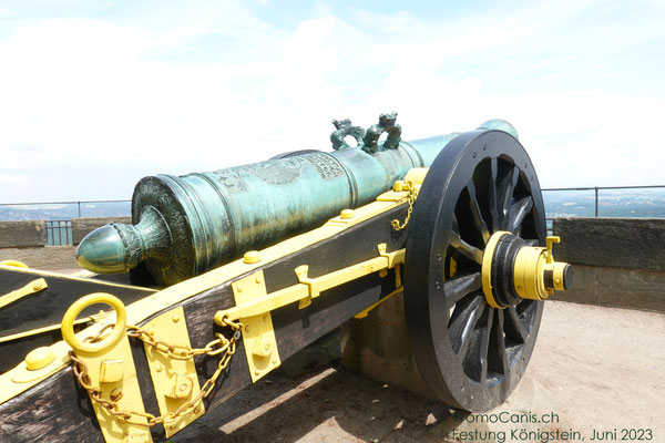 Eine Kanone aus dem Museum