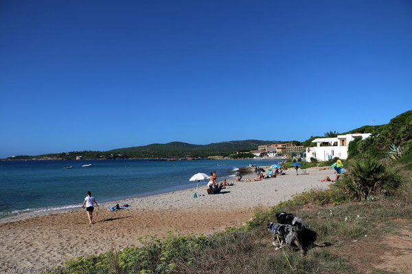 Auf dieser Seite des Strandes sind Hunde nicht erlaubt. Das ist für uns völlig in Ordnung, denn es gibt ja noch viele andere tolle Strandabschnitte