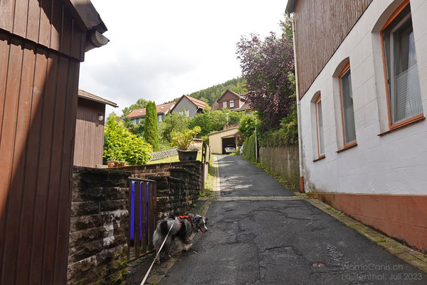 Hier beginnt der alte Erzweg (früher Fahrweg), auf dem im Mittelalter Erze von Goslar zur Verhüttung in die Lauterthaler „Bielsteinhütte“, die spätere Silberhütte, transportiert wurde.