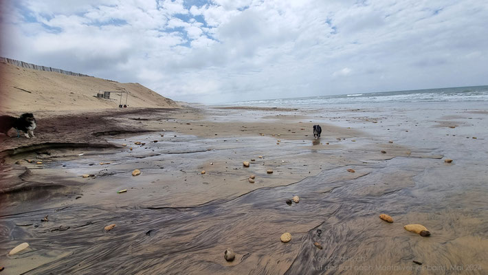 Wunderschön die Farben hier am Strand, den die Flut freigegeben hat