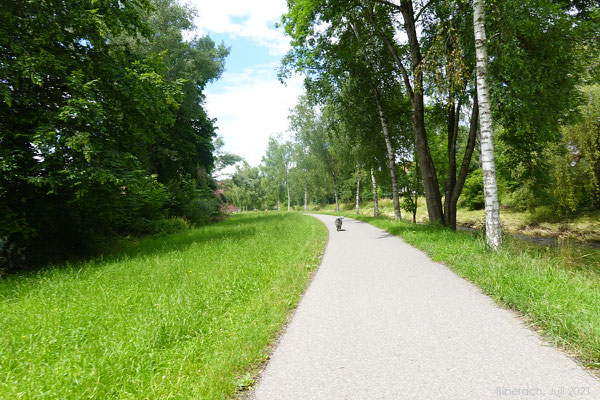 Der Weg an der Riss entlang - leider aber auch mit vielen Velofahrern