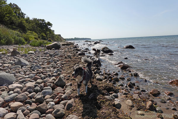 Zurück am Strand