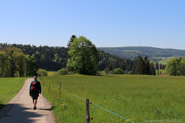 Die Wanderung beginnt mit wenigen Höhenmetern