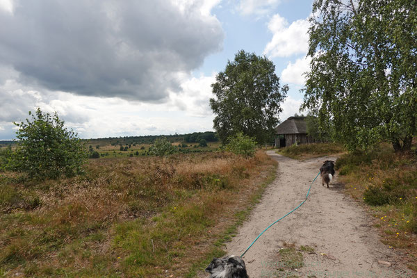 Im Hintergrund die Alfred-Töpfer-Hütte am gleichnamigen Aussichtspunkt. Töpfer war ein Pionier des Landschafts- und Naturschutzes. Zwischen 1954 und 1985 war er Vorsitzender des überregionalen Vereins Naturschutzpark. 