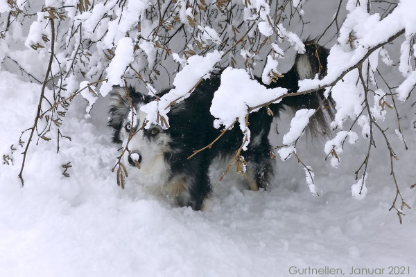 Es liegt viel Schnee. Juhui.