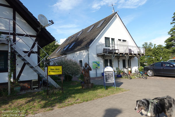 Nachdem auch die letzten Spuren des Parfums bei Shadow abgewaschen sind, geht es noch ein wenig in die Sonne zum trocknen.