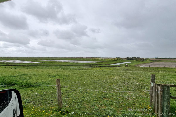Ein letzter Blick aus dem Wohnmobilfenster über die Felder und Weidetiere auf der Insel