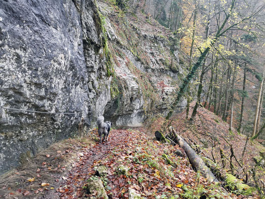 Von hier führt der Weg auf einem schmalen Band unter Felsvorsprüngen hindurch.