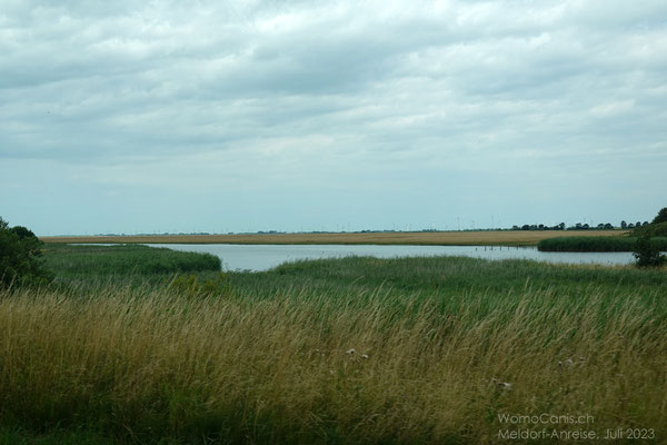 Entlang dem Kanal nach Meldorf nähern wir uns der Küste