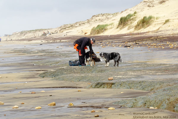 So ein Spaziergang macht durstig