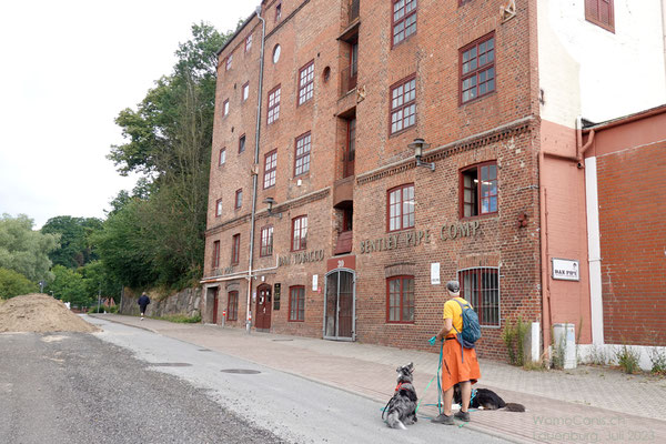 Die heutige Tabakfabrik, dort wo einst durch Mälzung aus Braugetreide Malz hergestellt wurde.