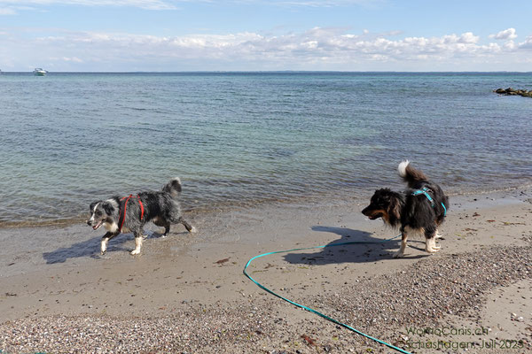 Noch ist nicht klar, ob Lenny auch ins tiefe Wasser gehen wird