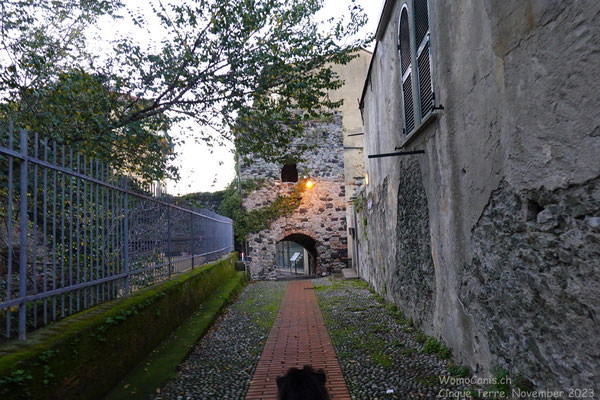 Zurück in Levanto 