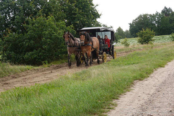 Auch hier sind wieder Kutschen unterwegs.