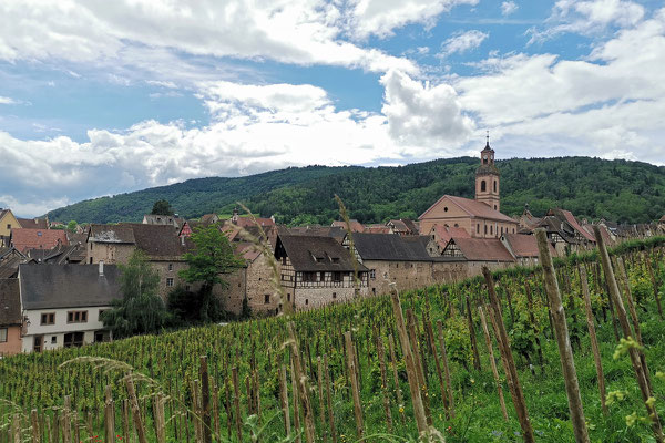 Beschaulich eingebettet liegt Riquewihr in den Weinbergen. Der Ort selbst präsentiert sich dann sehr touristisch und selbst heute an einem regnerischen Freitag ist das Gewimmel gross