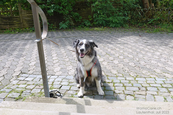 Während Shadow brav draussen gewartet hat. 