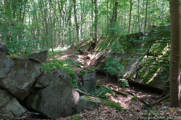 Es gibt zahlreiche Überreste einer ehemaligen Munitionsfabrik im Wald. Allerdings sind die meisten Bunker gesprengt und vieles ist verschüttet.