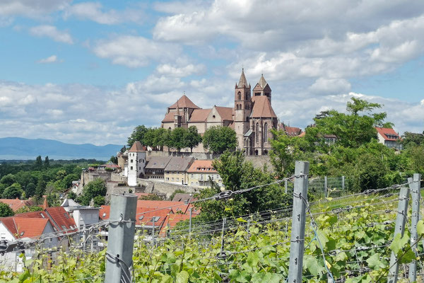 Hier vom Eckartsberg aus