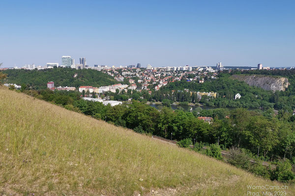 Von hier oben hat man einen wundervollen Blick über Prag