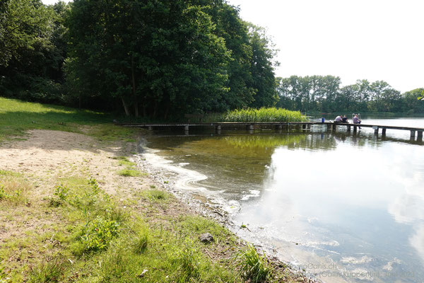 Der einzige Strand am Daschower See - mit den Algen nicht gerade einladend.