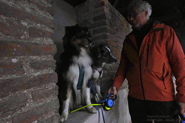 Zum Glück finden sich immer wieder kleine Nischen, in welche die Hunde ausweichen können, wenn wir andere Besucher des Wehrgangs kreuzen