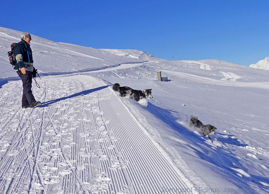 Schneebälle findet auch der Senior immer noch toll