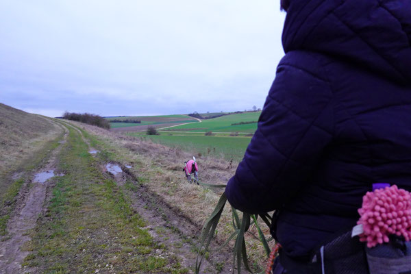 Danach geht es in den Reis zu einem Spaziergang mit Smilla