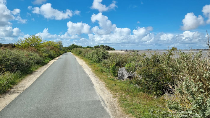 Nun nur noch über die Single Lane zum anderen Ende der Insel, wo sich der Stellplatz befindet